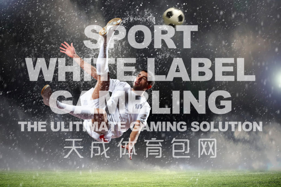 TC-Gaming Sport