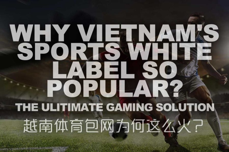 Why Vietnam's Sports White Label So Popular?
