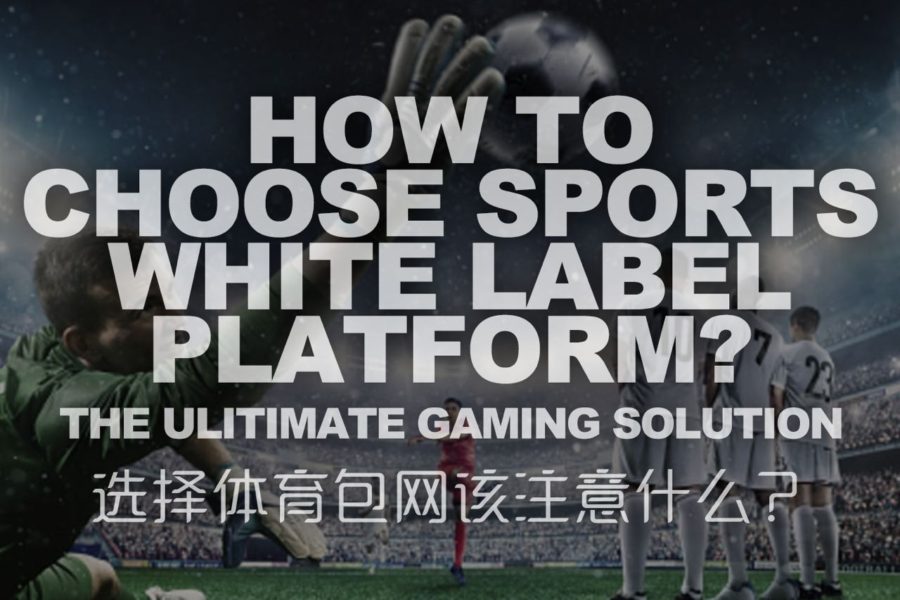 How To Choose Sports White Label iGaming Platform?