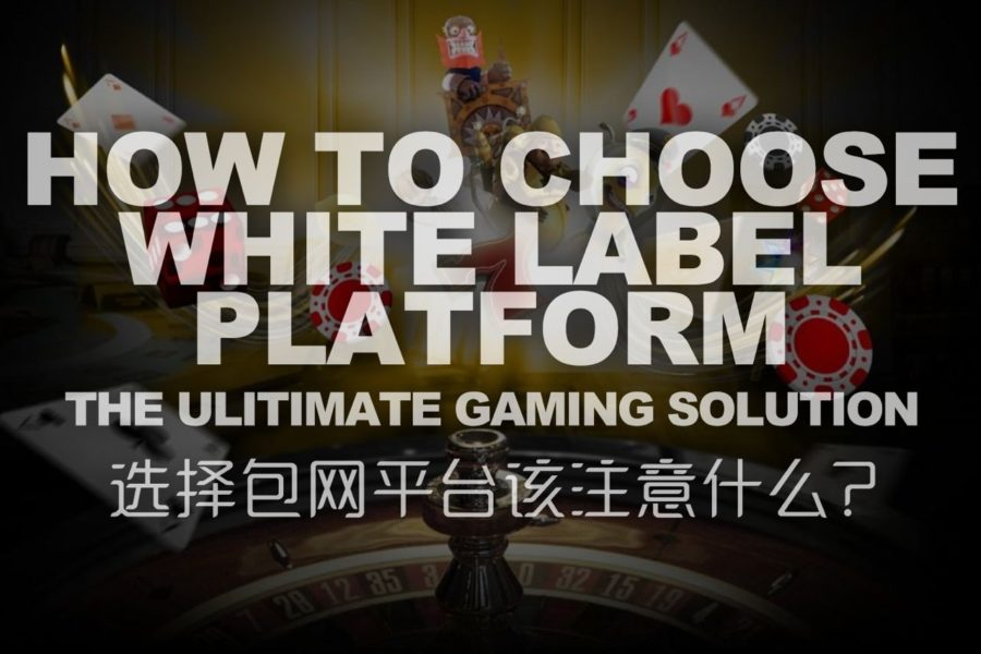 How To Choose White Label iGaming Platform?