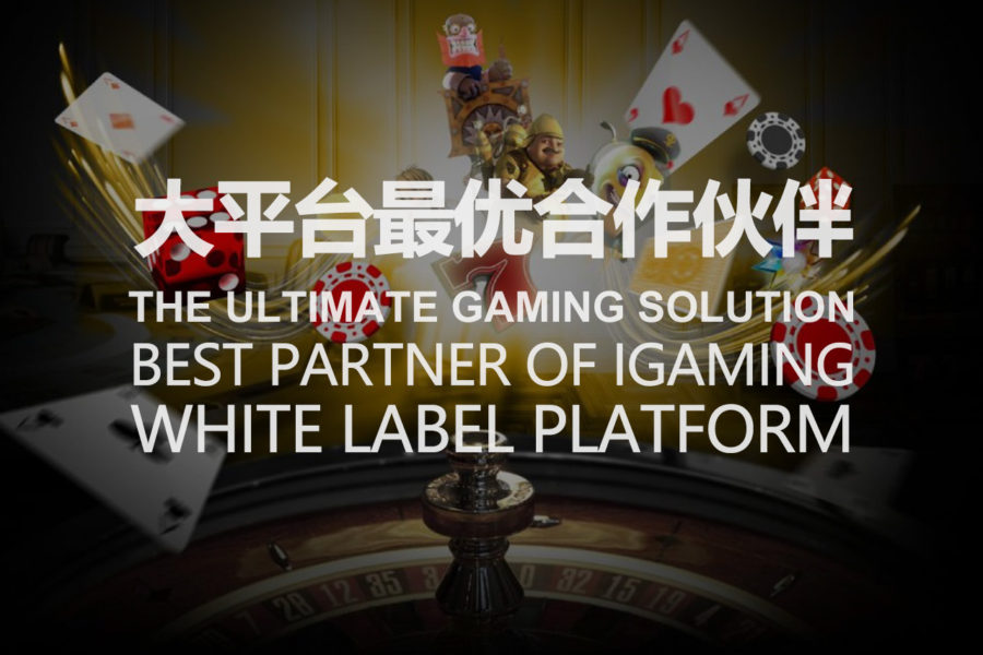 Best Partner Of IGaming White Label Platform