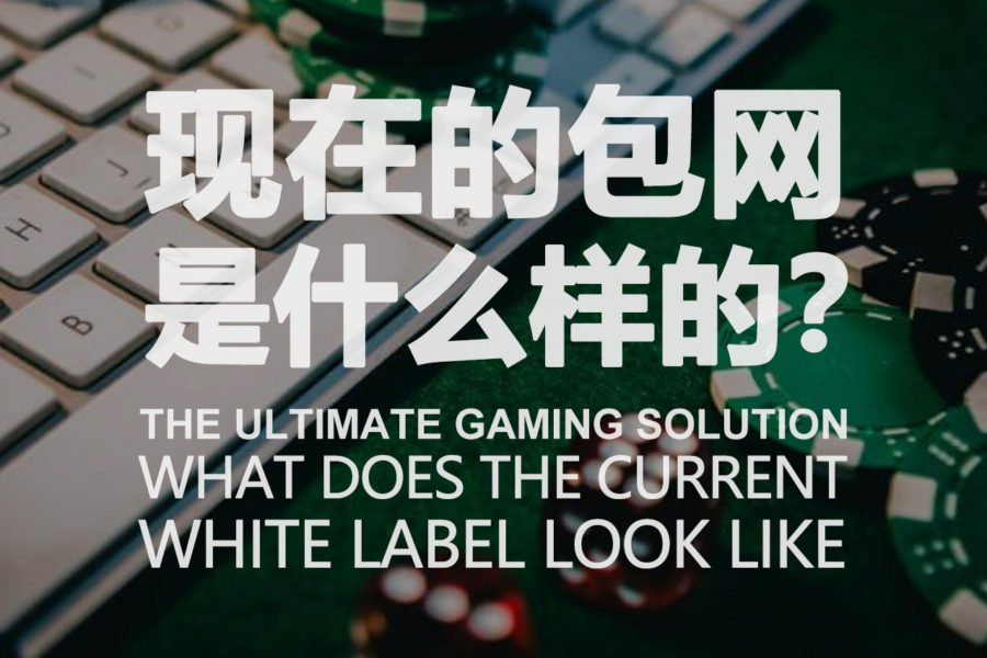 What Does The Current White Label iGaming Looks Like?
